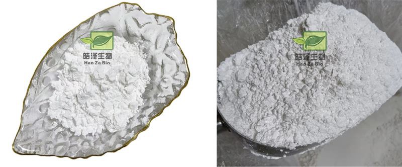 Shikimic Acid
