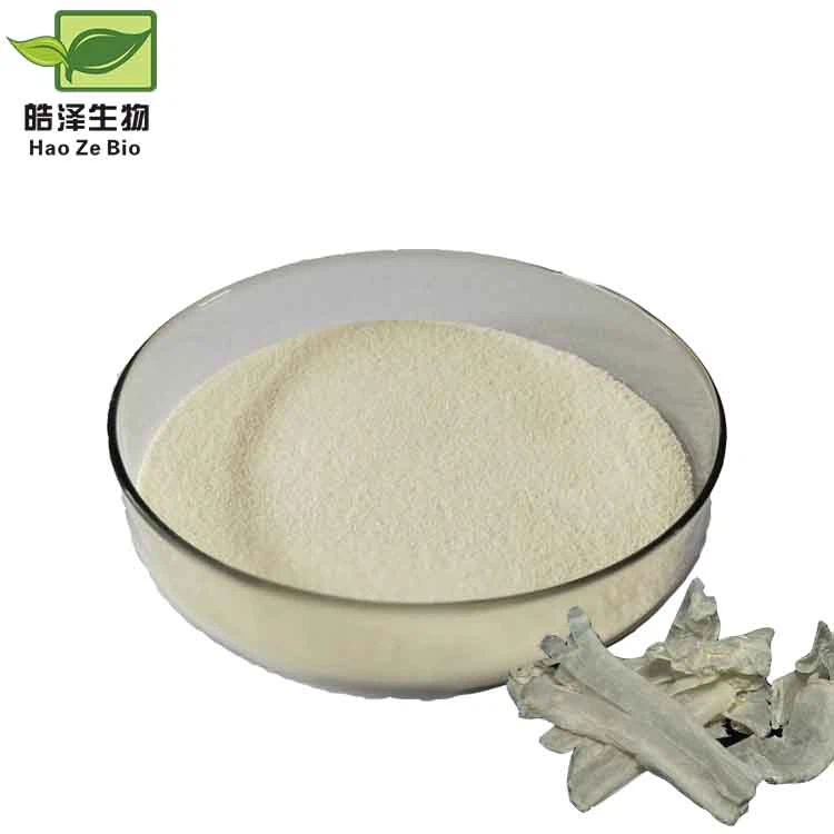chitosan powder bulk