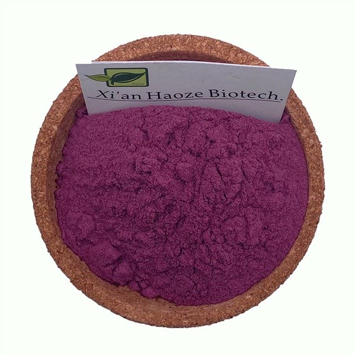 Blueberry Juice Powder