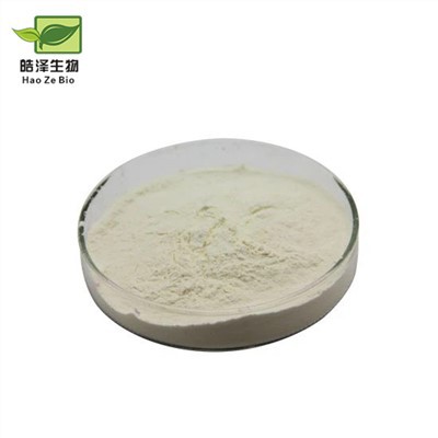 Obuolių ekstrakto milteliai