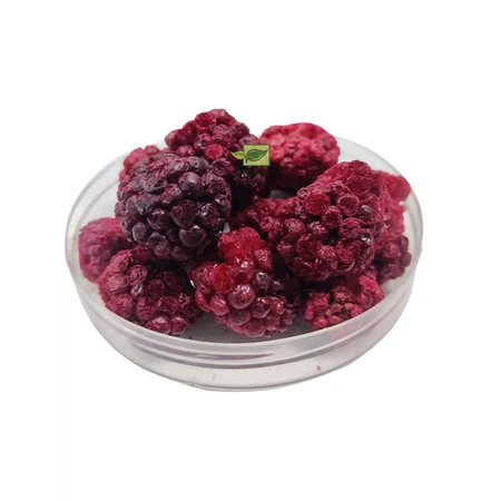 blackberry fruits blackberry fruits
